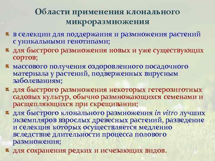 Области применения клонального микроразмножения в селекции для поддержания и размножения растений с уникальными генотипами;