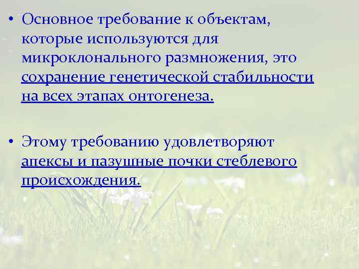  • Основное требование к объектам, которые используются для микроклонального размножения, это сохранение генетической