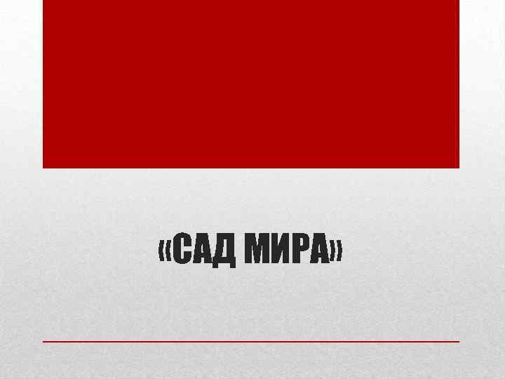  «САД МИРА» 