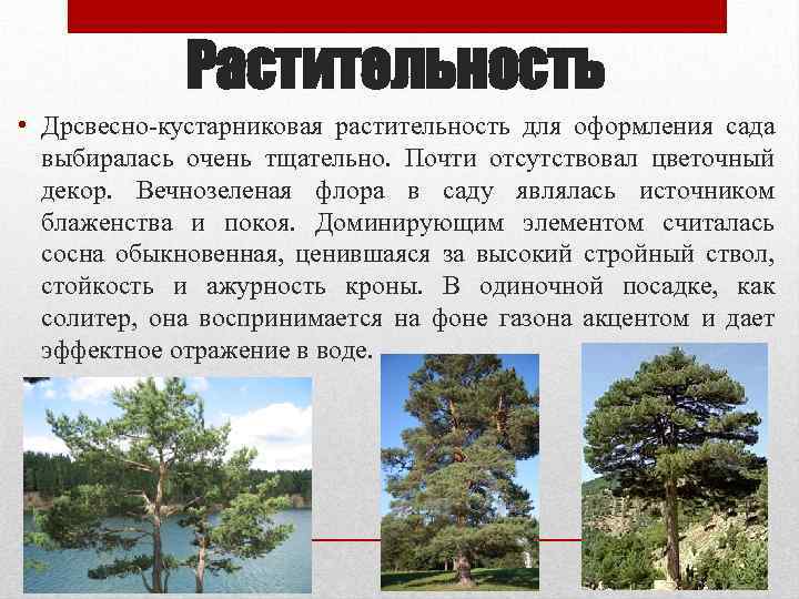 Растительность • Дрсвесно-кустарниковая растительность для оформления сада выбиралась очень тщательно. Почти отсутствовал цветочный декор.