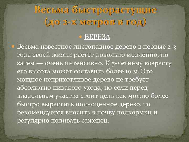 Весьма быстрорастущие (до 2 -х метров в год) БЕРЕЗА Весьма известное листопадное дерево в