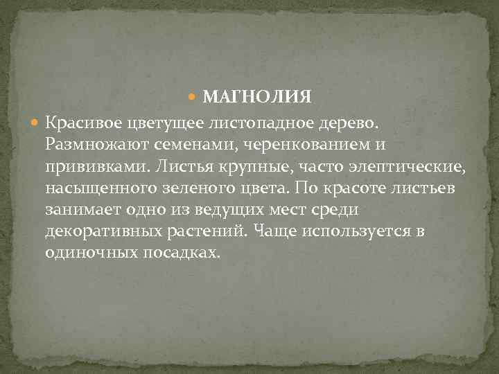  МАГНОЛИЯ Красивое цветущее листопадное дерево. Размножают семенами, черенкованием и прививками. Листья крупные, часто