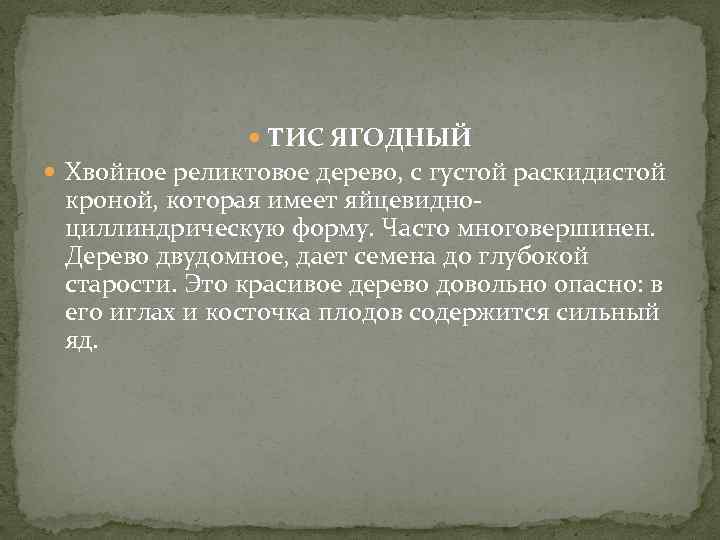 ТИС ЯГОДНЫЙ Хвойное реликтовое дерево, с густой раскидистой кроной, которая имеет яйцевидноциллиндрическую форму.