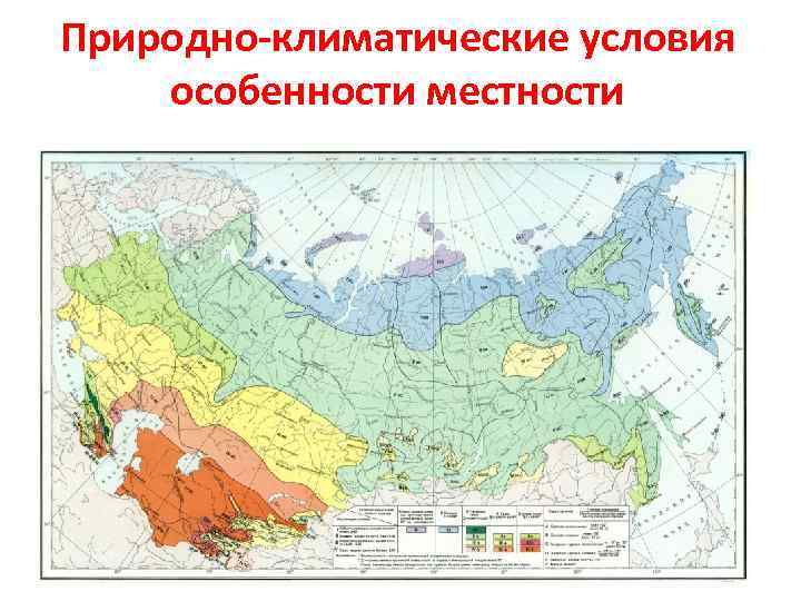 Природно-климатические условия особенности местности 