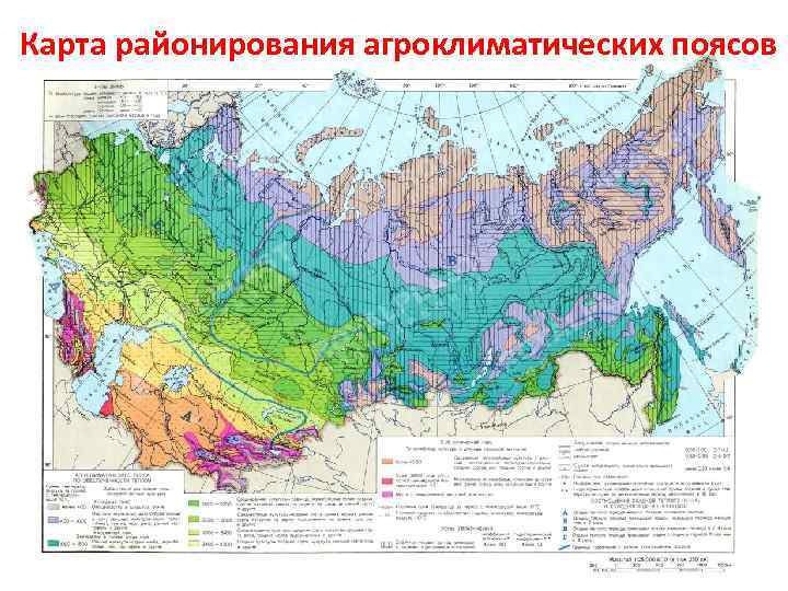 Карта районирования агроклиматических поясов 