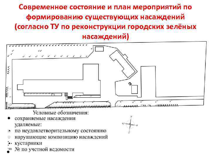 Современное состояние и план мероприятий по формированию существующих насаждений (согласно ТУ по реконструкции городских