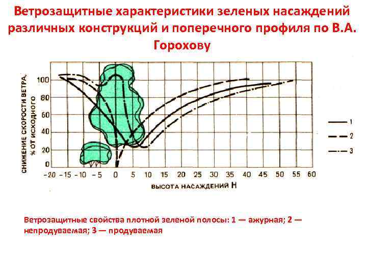 Ветрозащитные характеристики зеленых насаждений различных конструкций и поперечного профиля по В. А. Горохову Ветрозащитные