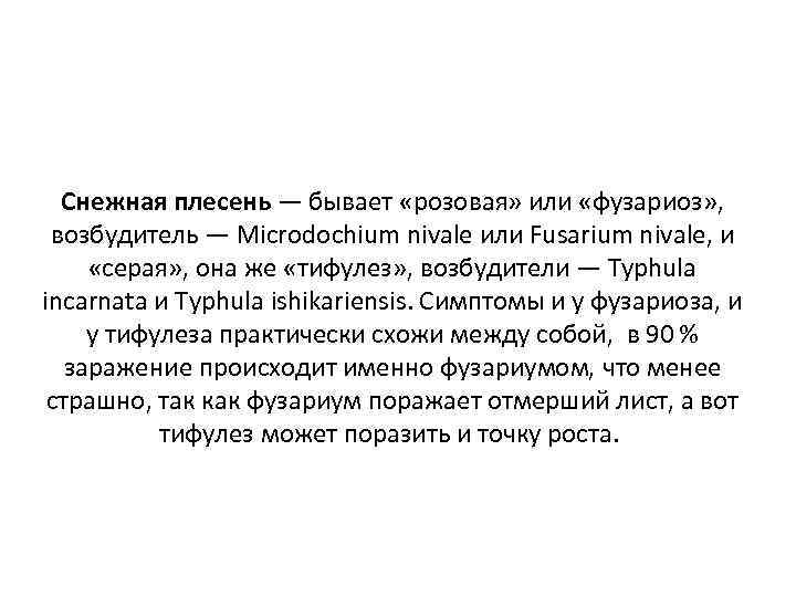 Снежная плесень — бывает «розовая» или «фузариоз» , возбудитель — Microdochium nivale или Fusarium