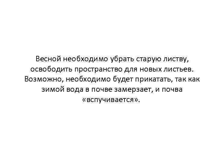 Весной необходимо убрать старую листву, освободить пространство для новых листьев. Возможно, необходимо будет прикатать,