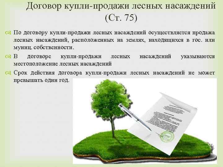 Договор купли-продажи лесных насаждений (Ст. 75) По договору купли-продажи лесных насаждений осуществляется продажа лесных