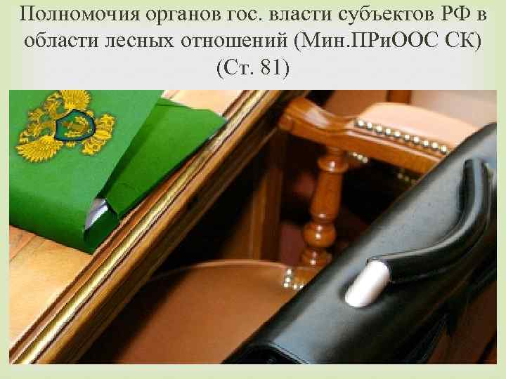 Полномочия органов гос. власти субъектов РФ в области лесных отношений (Мин. ПРи. ООС СК)
