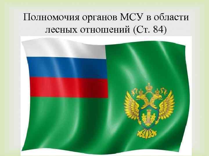 Полномочия органов МСУ в области лесных отношений (Ст. 84) 