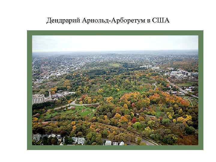 Дендрарий Арнольд-Арборетум в США 