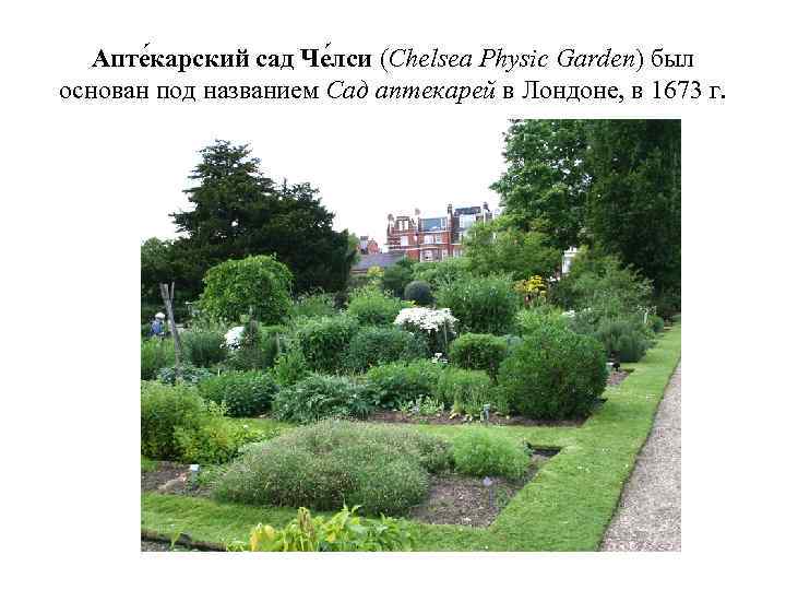 Апте карский сад Че лси (Chelsea Physic Garden) был основан под названием Сад аптекарей