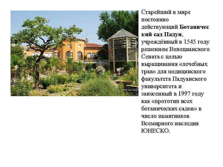  • Старейший в мире постоянно действующий Ботаничес кий сад Падуи, учреждённый в 1545