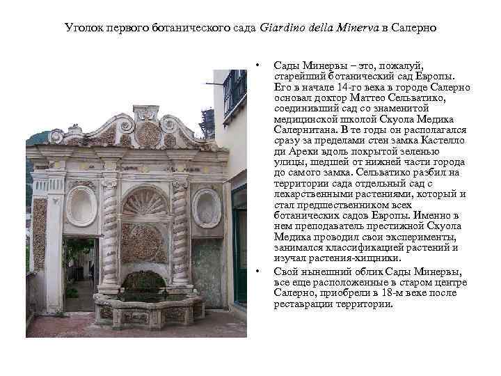 Уголок первого ботанического сада Giardino della Minerva в Салерно • • Сады Минервы –