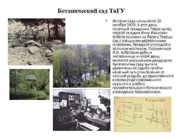 Ботанический сад Тв. ГУ • История сада начинается 30 октября 1879. В этот день