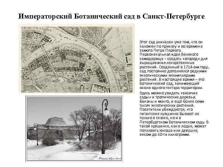 Императорский Ботанический сад в Санкт-Петербурге • • Этот сад уникален уже тем, что он