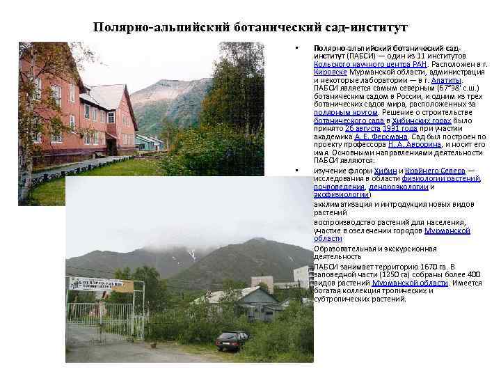 Полярно-альпийский ботанический сад-институт • • • Полярно-альпийский ботанический садинститут (ПАБСИ) — один из 11