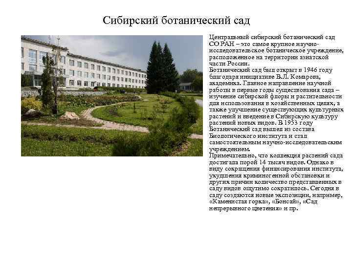 Сибирский ботанический сад • Центральный сибирский ботанический сад СО РАН – это самое крупное