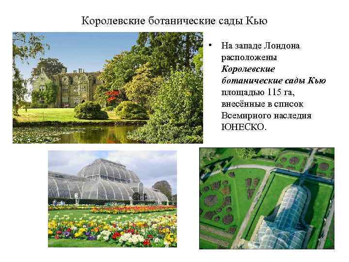 Королевские ботанические сады Кью • На западе Лондона расположены Королевские ботанические сады Кью площадью