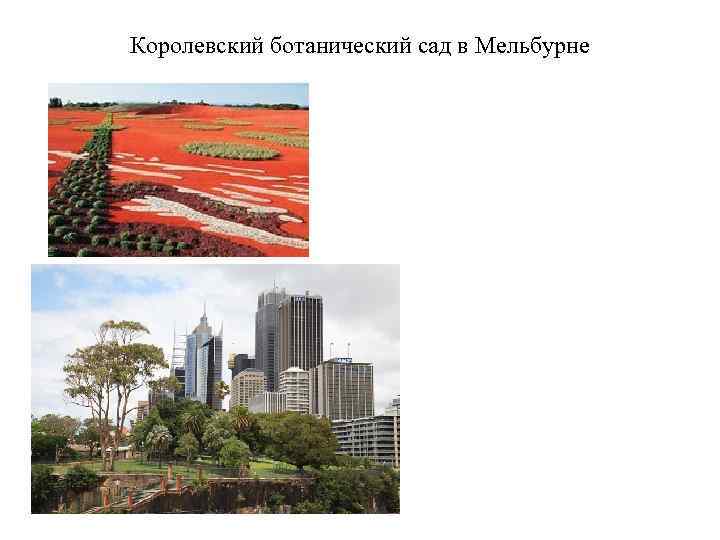 Королевский ботанический сад в Мельбурне 