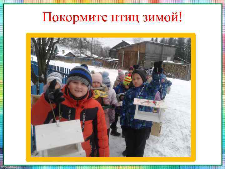 Покормите птиц зимой! 