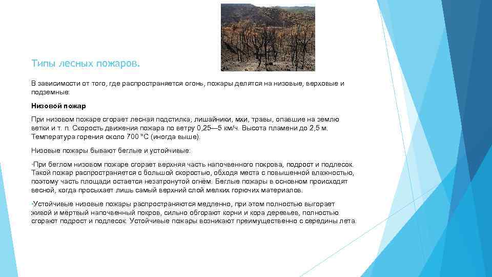 Типы лесных пожаров. В зависимости от того, где распространяется огонь, пожары делятся на низовые,