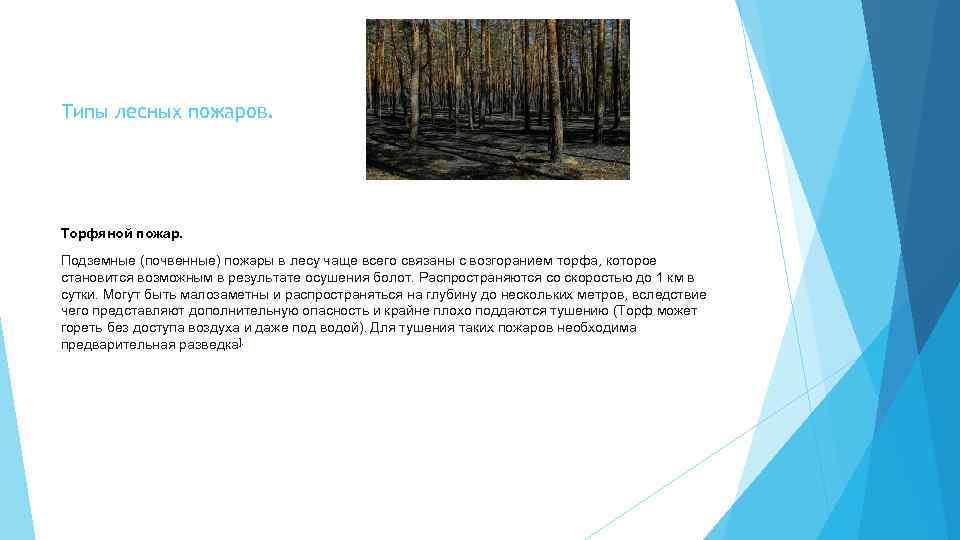 Типы лесных пожаров. Торфяной пожар. Подземные (почвенные) пожары в лесу чаще всего связаны с