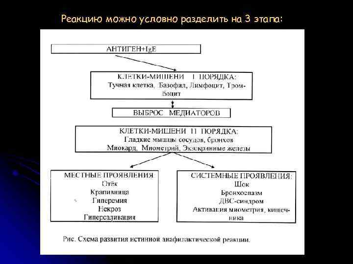 Реакцию можно условно разделить на 3 этапа: 