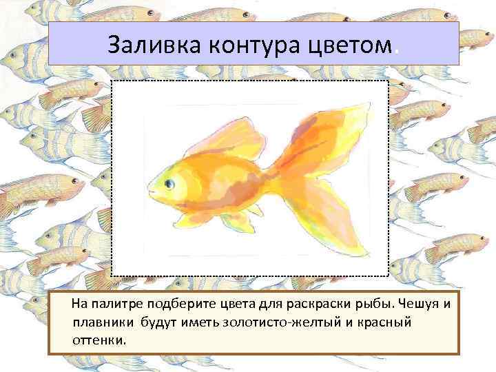 Заливка контура цветом. На палитре подберите цвета для раски рыбы. Чешуя и плавники будут