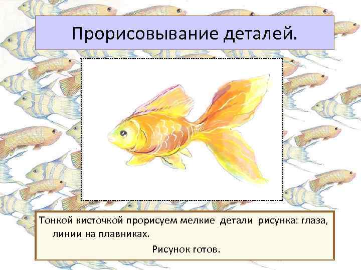 Прорисовывание деталей. Тонкой кисточкой прорисуем мелкие детали рисунка: глаза, линии на плавниках. Рисунок готов.