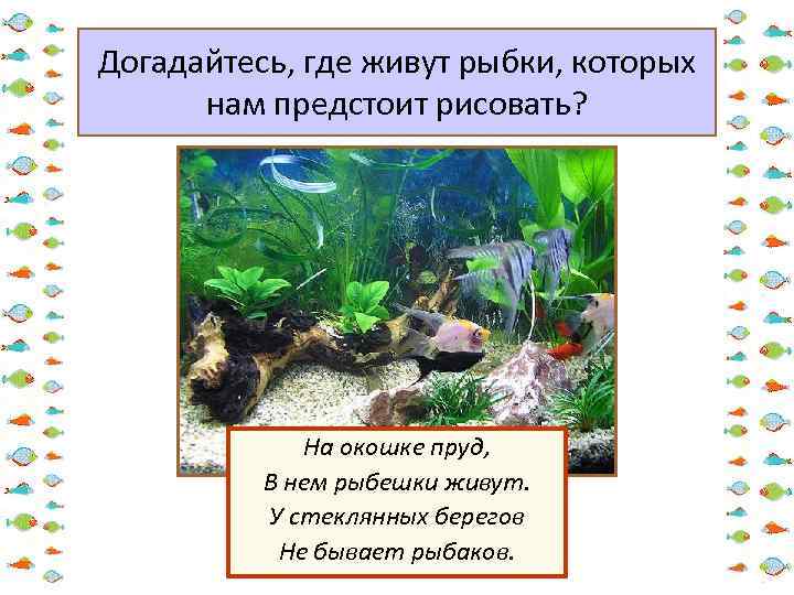 Догадайтесь, где живут рыбки, которых нам предстоит рисовать? На окошке пруд, В нем рыбешки