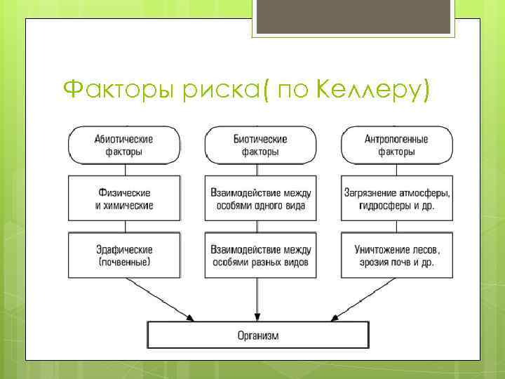 Среда обитания и факторы среды презентация