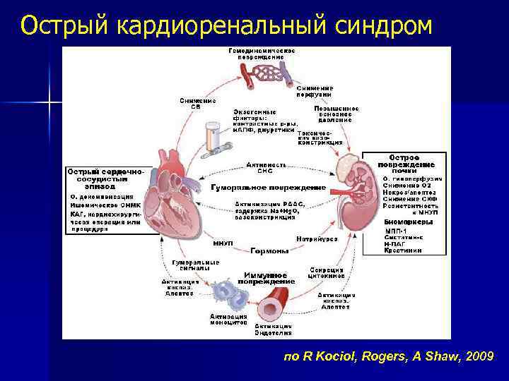 Острый кардиоренальный синдром по R Kociol, Rogers, A Shaw, 2009 