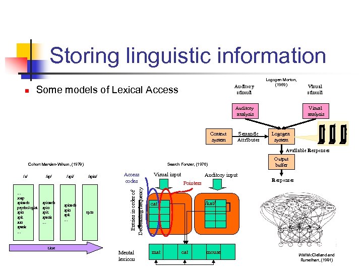Storing linguistic information n Auditory stimuli Some models of Lexical Access Logogen Morton, (1969)