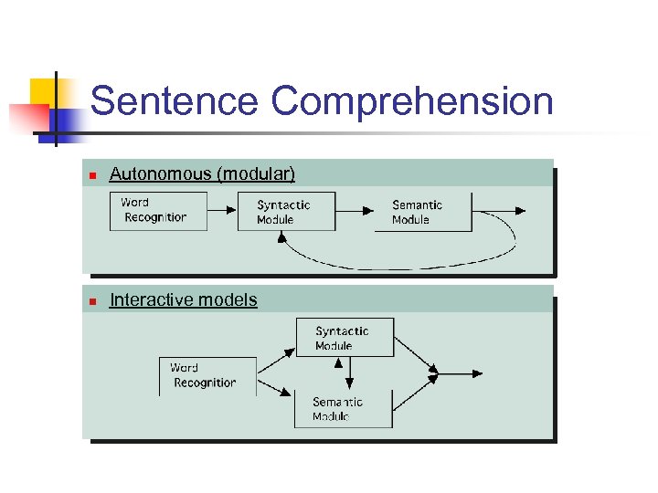 Sentence Comprehension n Autonomous (modular) n Interactive models 