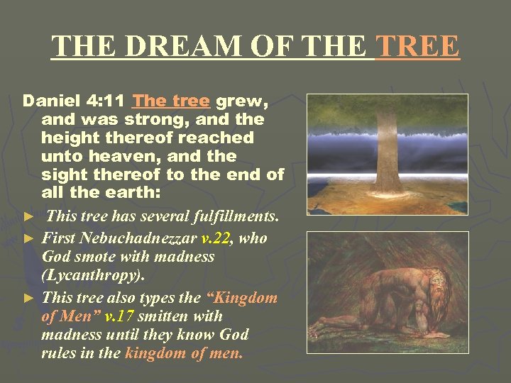 THE DREAM OF THE TREE Daniel 4: 11 The tree grew, and was strong,