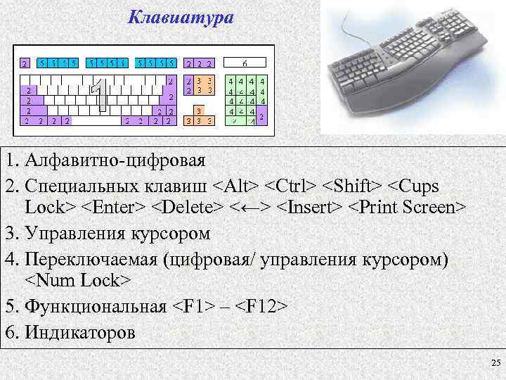 Клавиатура 1. Алфавитно-цифровая 2. Специальных клавиш <Alt> <Ctrl> <Shift> <Cups Lock> <Enter> <Delete> <←>