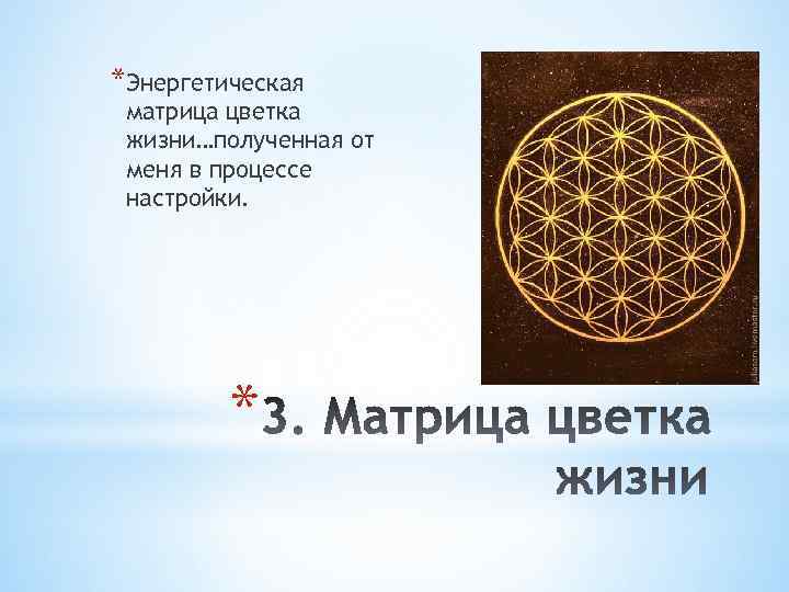 *Энергетическая матрица цветка жизни…полученная от меня в процессе настройки. * 
