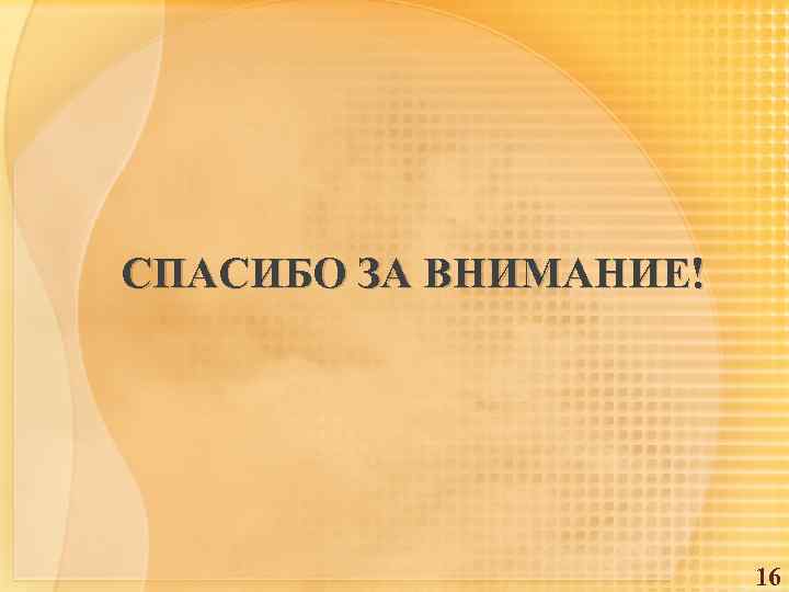 СПАСИБО ЗА ВНИМАНИЕ! 16 