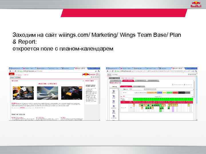 Заходим на сайт wiiings. com/ Marketing/ Wings Team Base/ Plan & Report: откроется поле