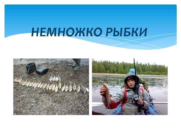 НЕМНОЖКО РЫБКИ 