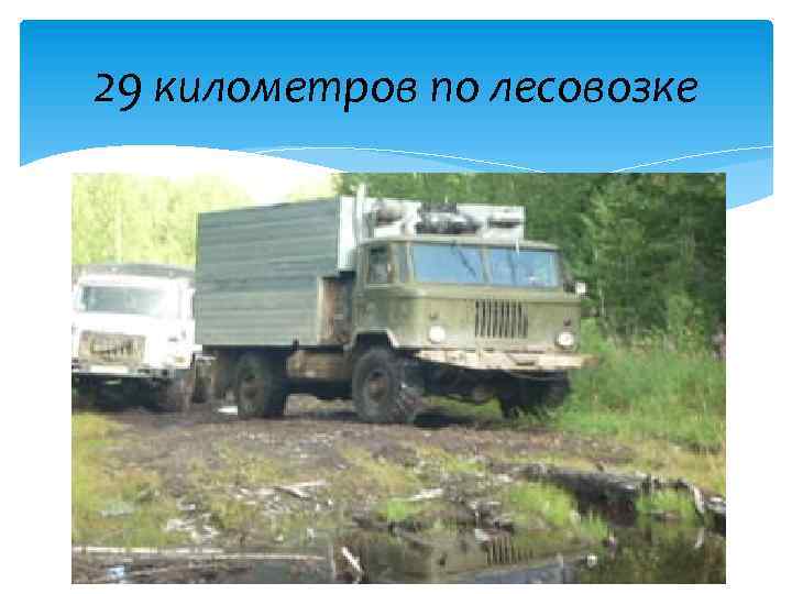 29 километров по лесовозке 