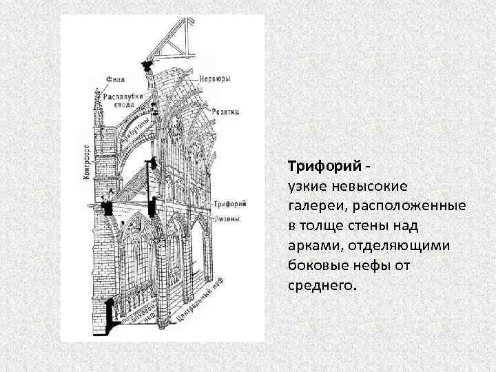 Трифорий узкие невысокие галереи, расположенные в толще стены над арками, отделяющими боковые нефы от