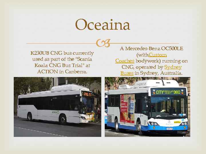 Oceaina K 230 UB CNG bus currently used as part of the 