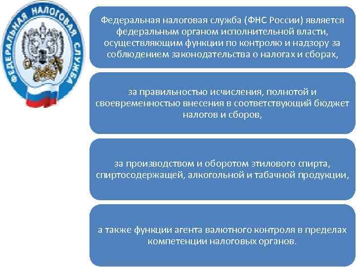 Федеральная налоговая служба (ФНС России) является федеральным органом исполнительной власти, осуществляющим функции по контролю