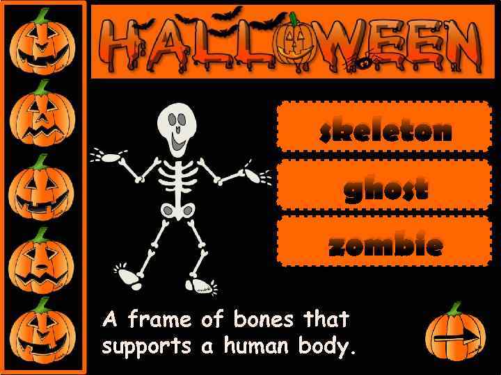 skeleton ghost zombie A frame of bones that supports a human body. 