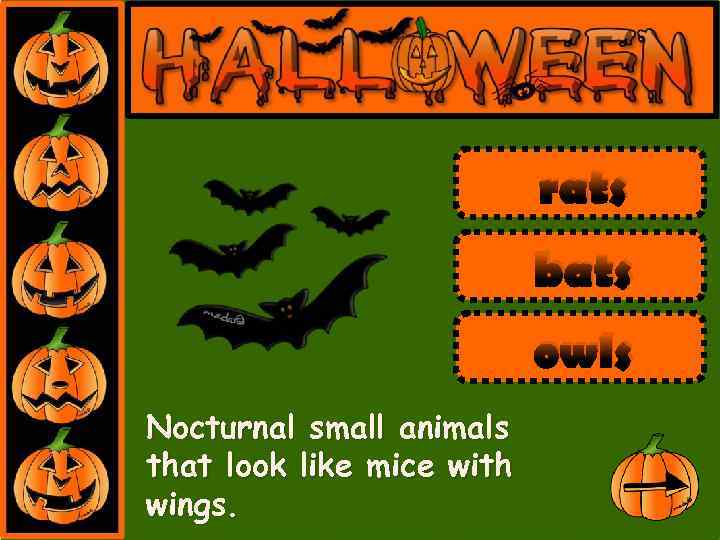 rats bats owls Nocturnal small animals that look like mice with wings. 