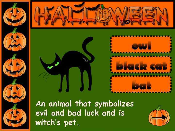 owl black cat bat An animal that symbolizes evil and bad luck and is